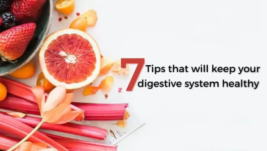 How to Improve Gut Health: 7 Simple Habits for Better Digestion