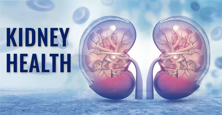 Kidney Health: 8 Simple Ways to Keep Your Kidneys Healthy